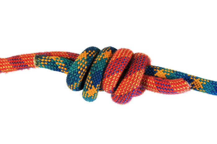 the knot that ties