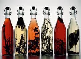 Bottled Wisdom